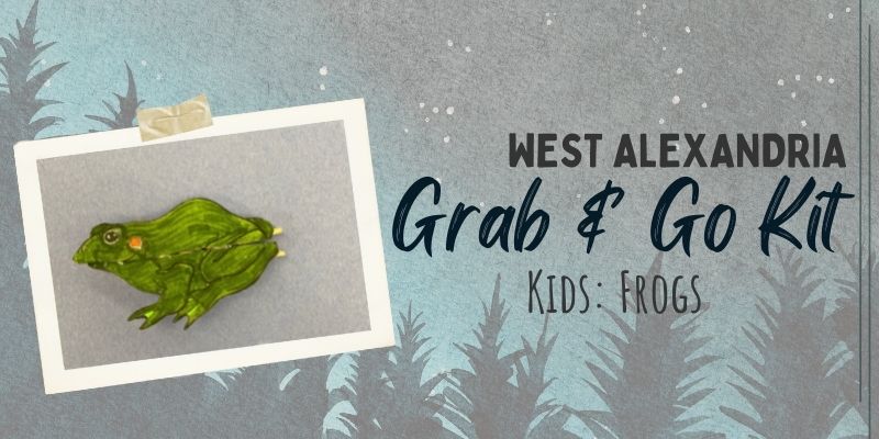 Kids Grab and Go Frog