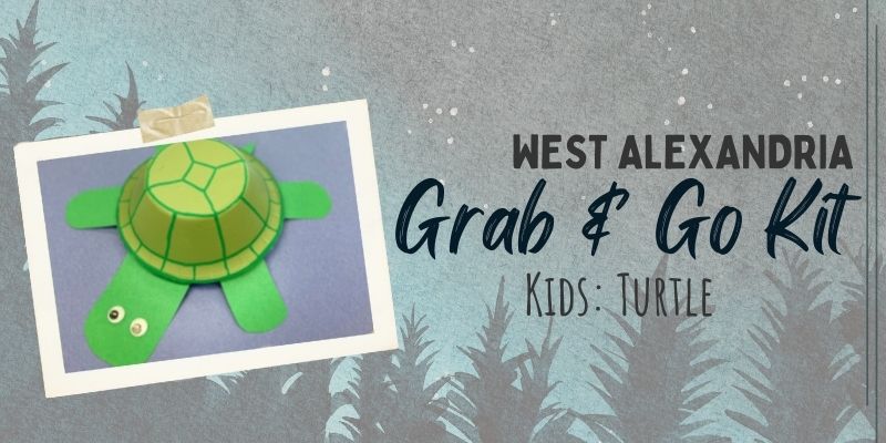 Kids Grab and Go Turtle