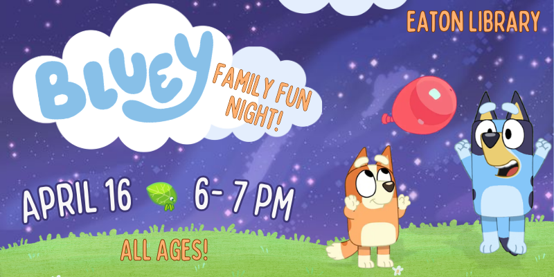 Bluey Family Fun Night