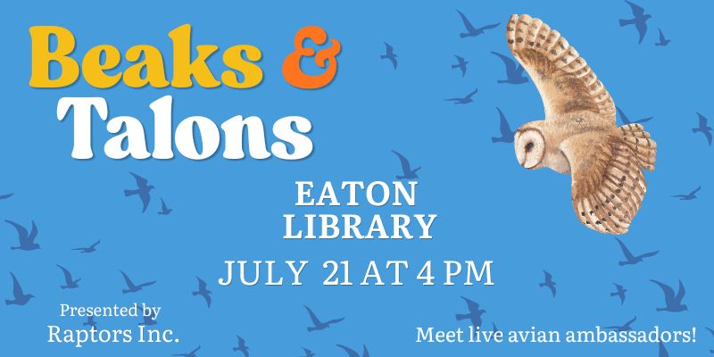 Beaks & Talons PRE